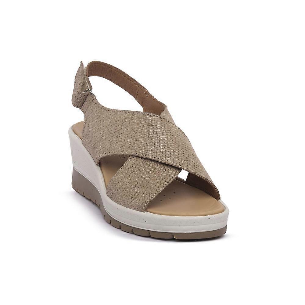 Shoes IGI&CO 7664722