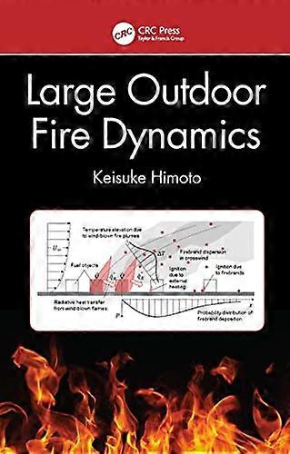 Large Outdoor Fire Dynamics