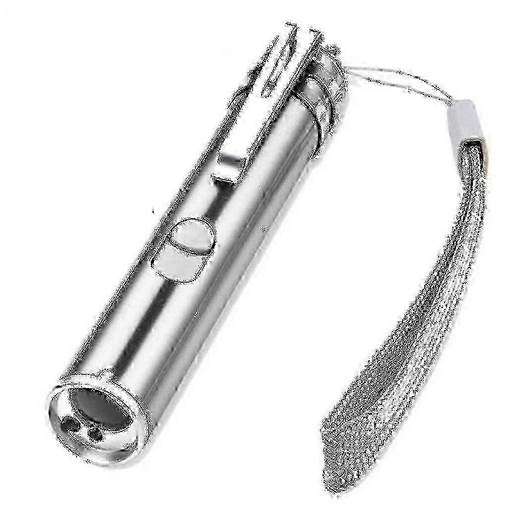 Usb Rechargeable Pet Toys Cat Training Laser Pointer With Led Flashlight