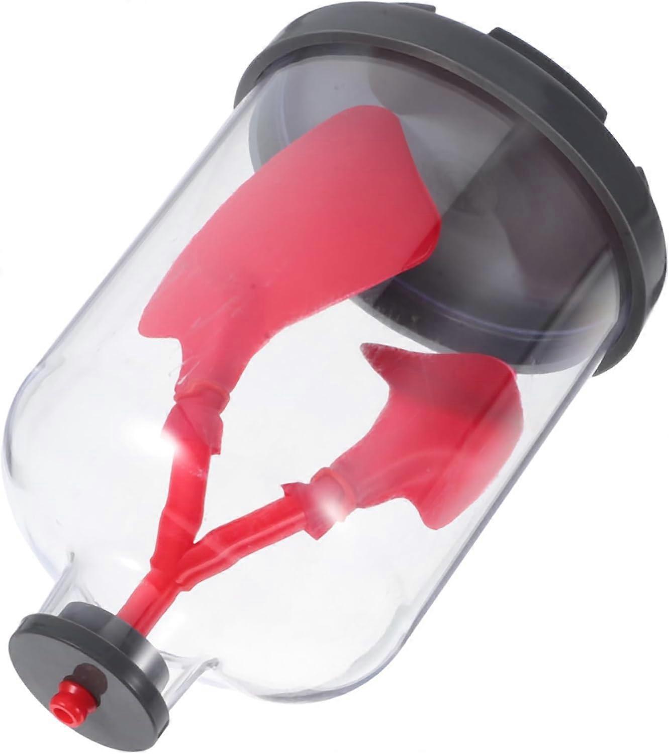 Educational Model Lung Demonstration Tool for Schools Breathing Exerciser Toys