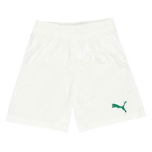 Puma Boys Velize Logo Shorts