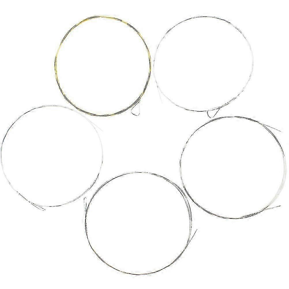 5pcs Professional 5-String Banjo Strings Music Wire Sturdy Strings Banjo Strings