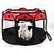 Breathable Foldable Pet Tote