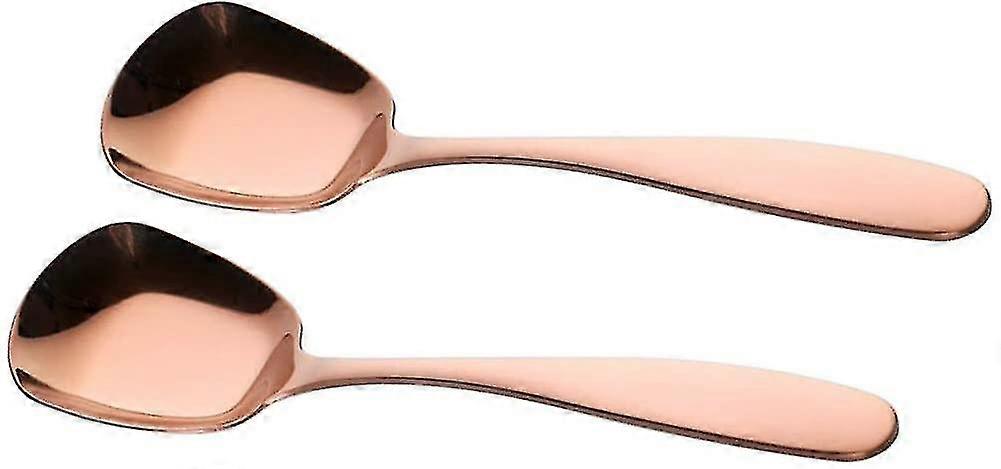 2 Stainless Steel Spoons Dinner Spoons  Spoons