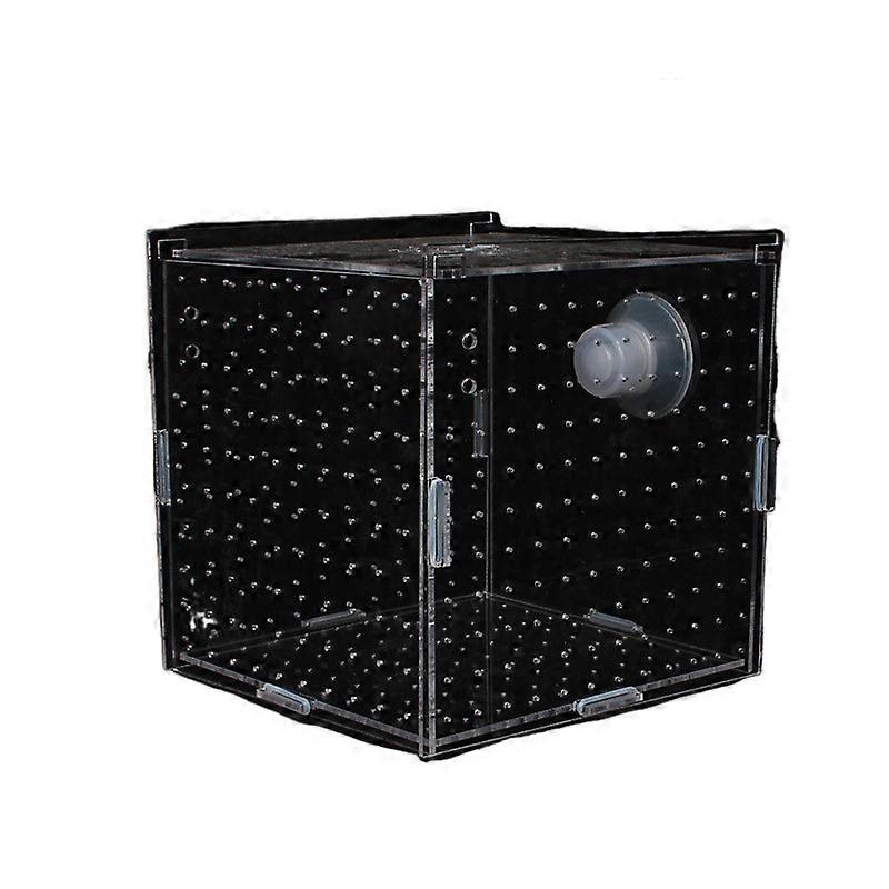 Fish Tank Transparent Aquarium Isolation Box Small Fry Incubator