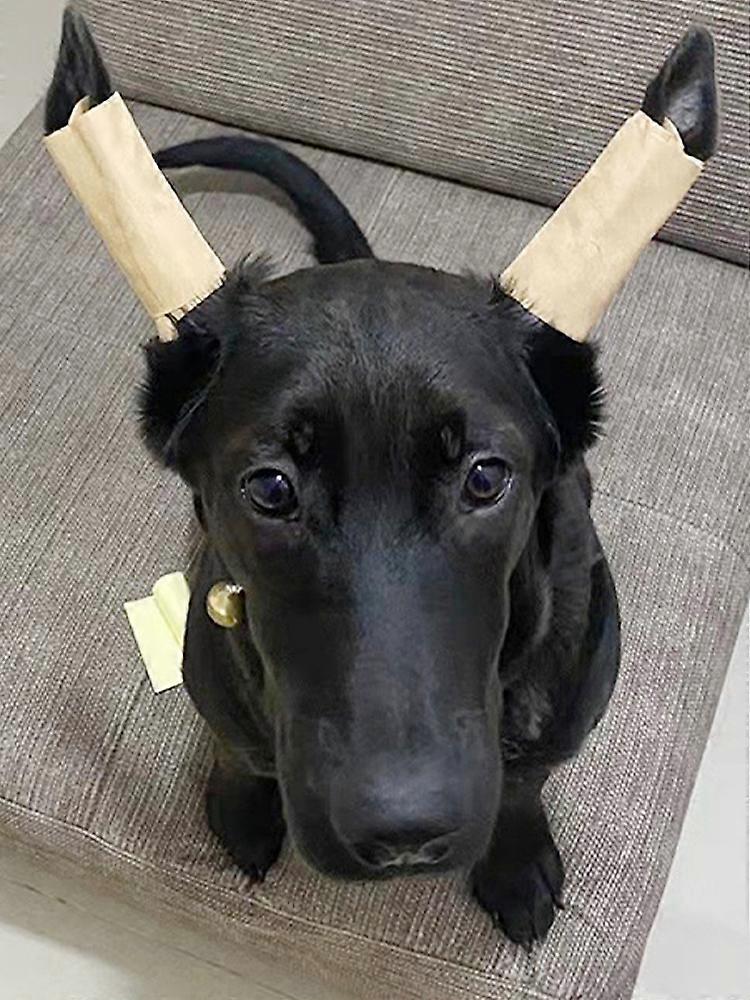 Dog Ear Stand Up Support Tool Sticker Dog Ear Stand Correction Vertical Tool