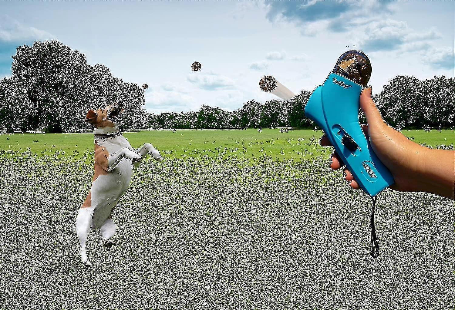 Pet Treat Launcher Training Dog Food Catapult Automatisk foder til kæledyr Kasterfoder, 1 stk., Grey Zinuo Boutique