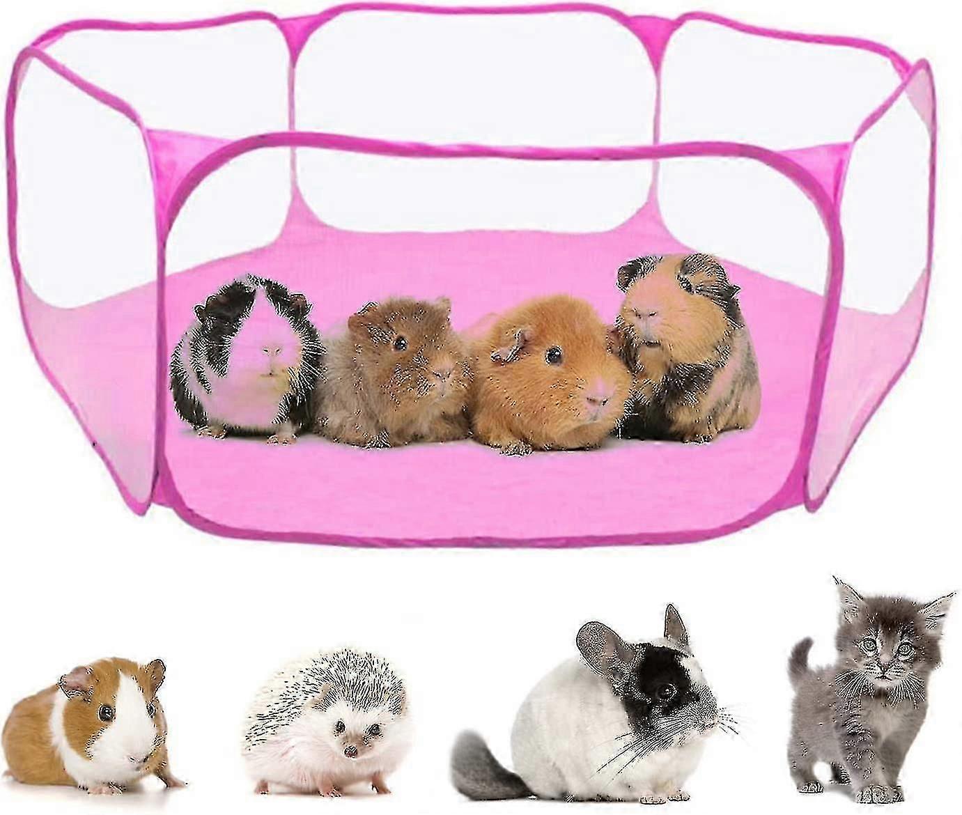 Guinea Pig Accessories, Suitable For Guinea Pigs, Rabbits, Hamsters, Chinchillas, And Hedgehogs