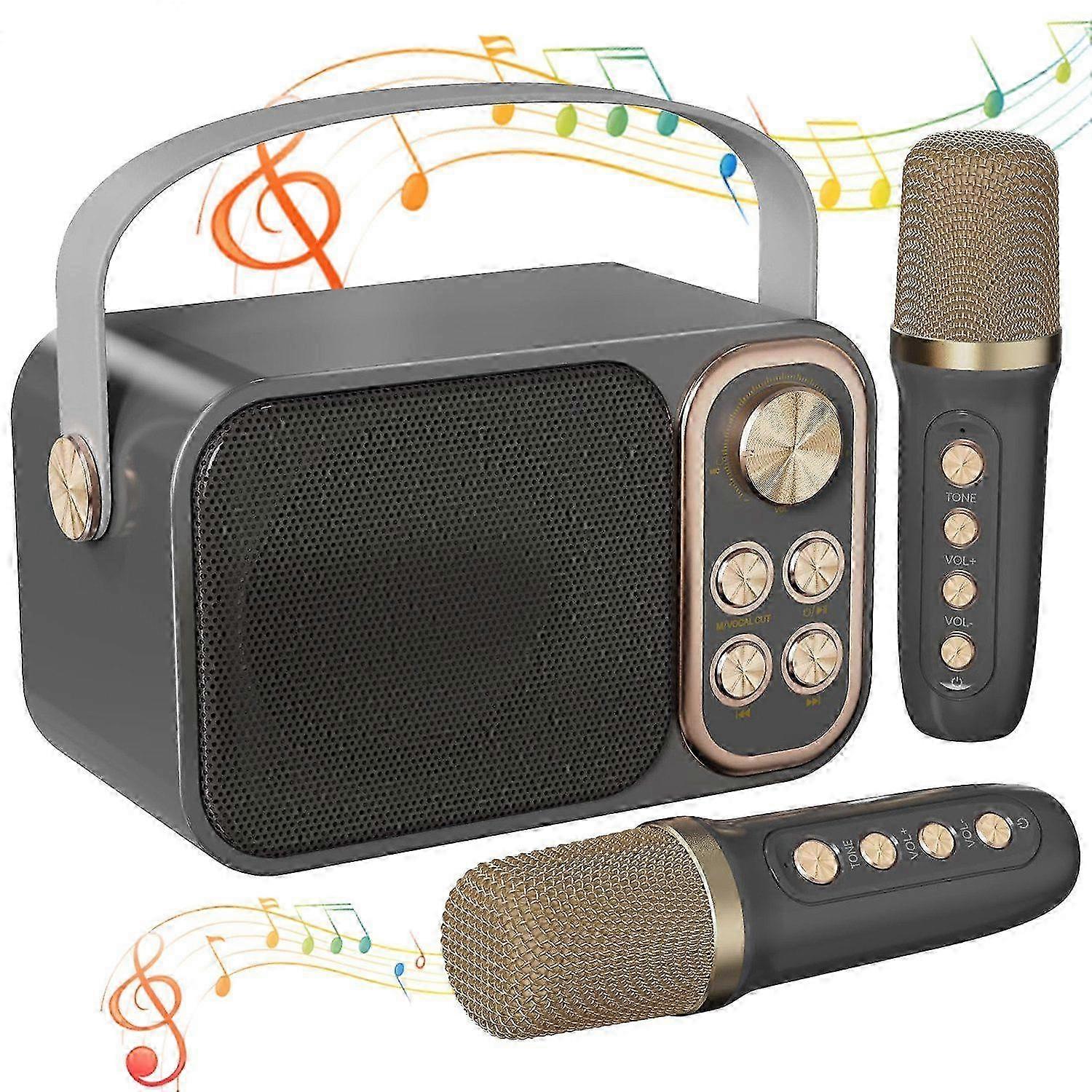 Karaoke machine with 2 microphones Bluetooth speaker music entertainment party fun