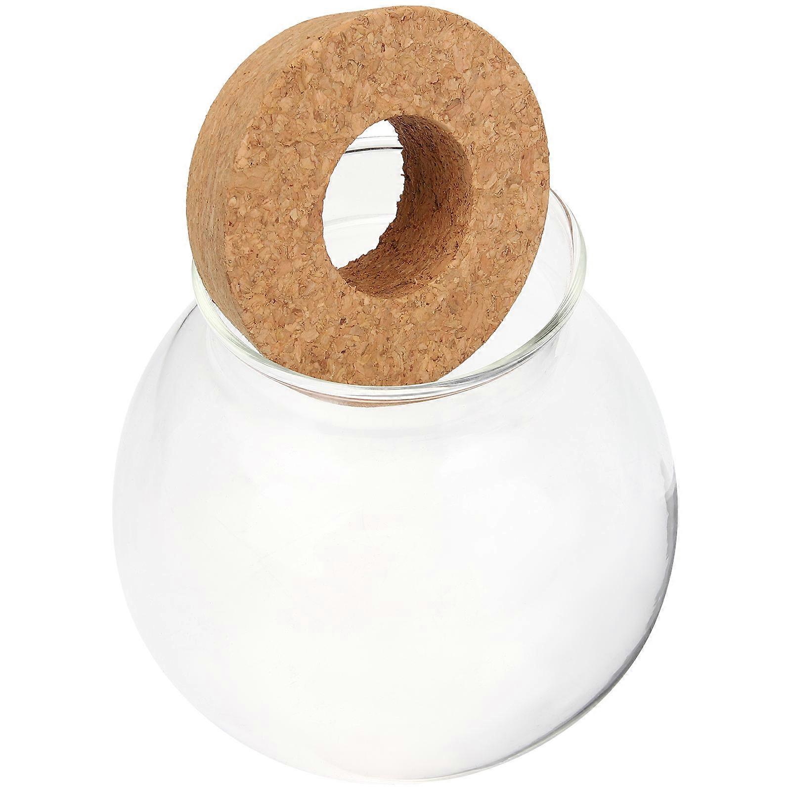 Hydroponic Glass Vase Terrarium for Water Planting – Smooth Surface Desktop Propagation Station, Decorative Indoor Plant and Fresh Flower Container