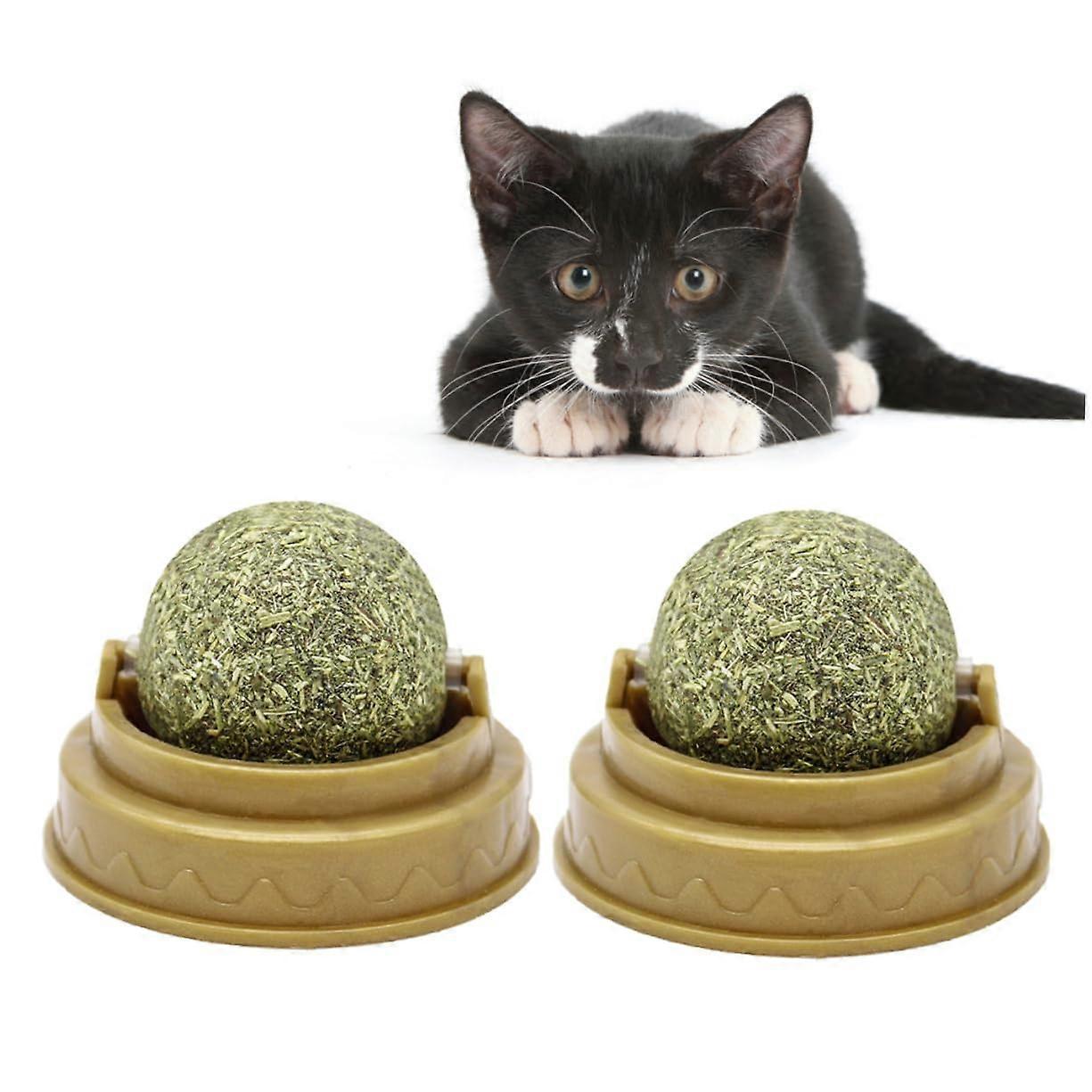 Pack of 4 Catnip Licking Balls with Mint Flavor Digestive Aid Puzzle Treats for Indoor Cats