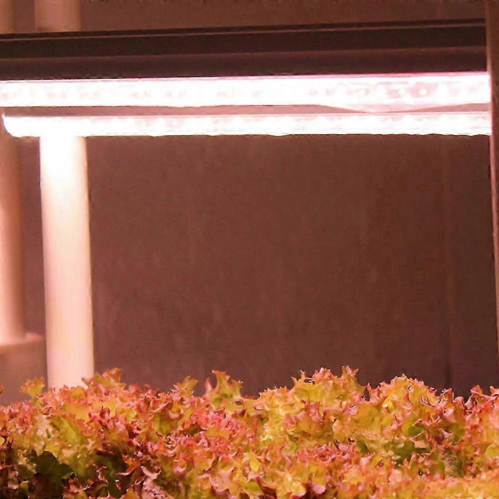 Hydroponics machine lamp set EU 2025