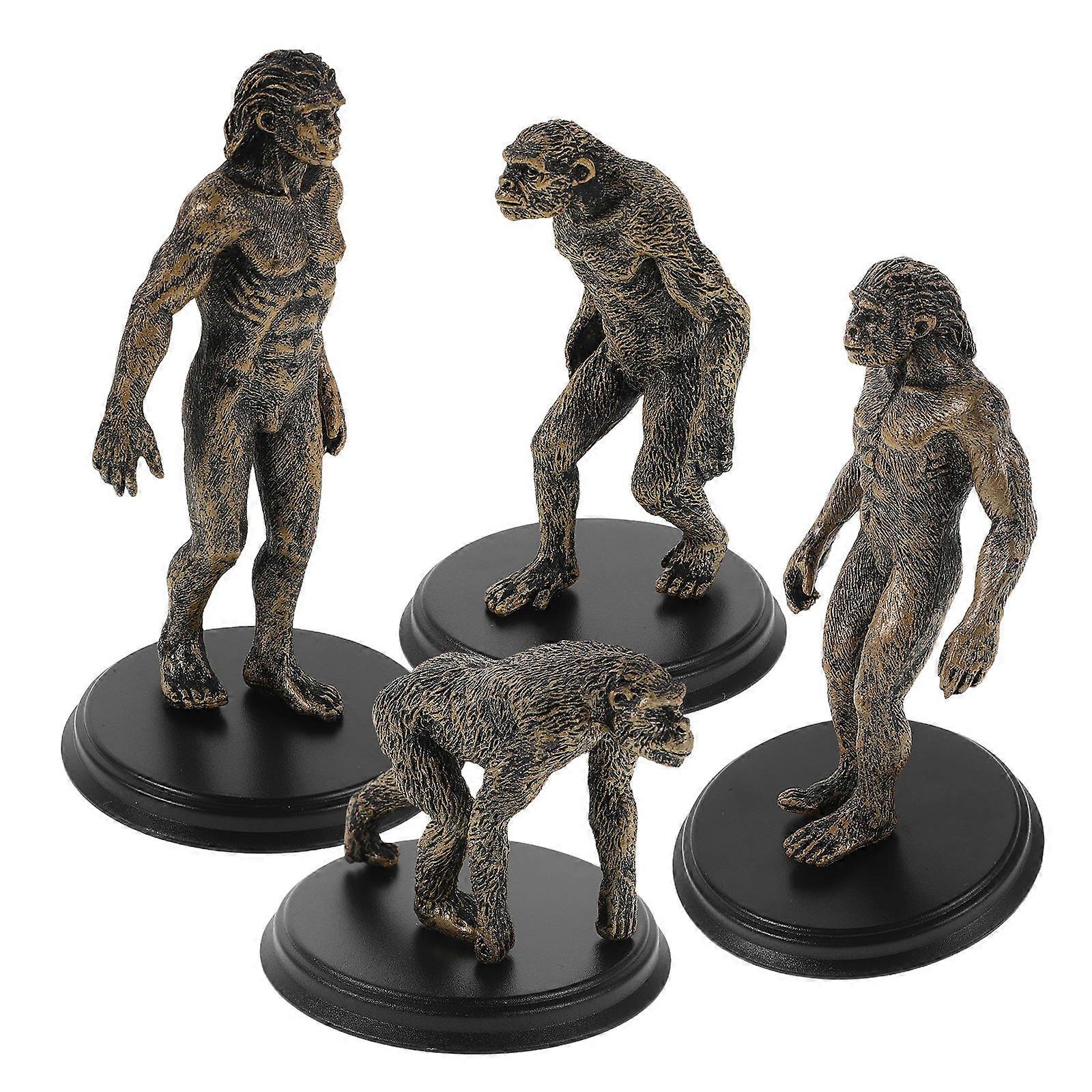 Original Human Educational Toy Plastic Model for History Lesson 4Pcs