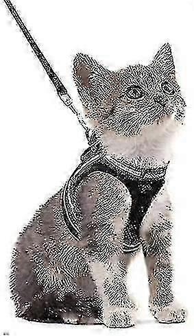 Adjustable Soft Kitten Harness with Lead