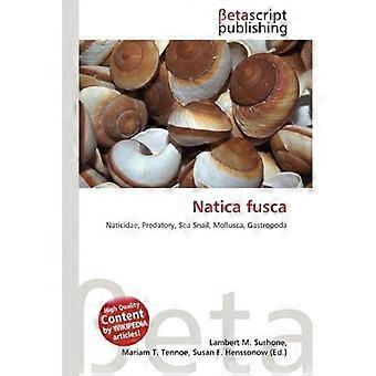 Natica Fusc