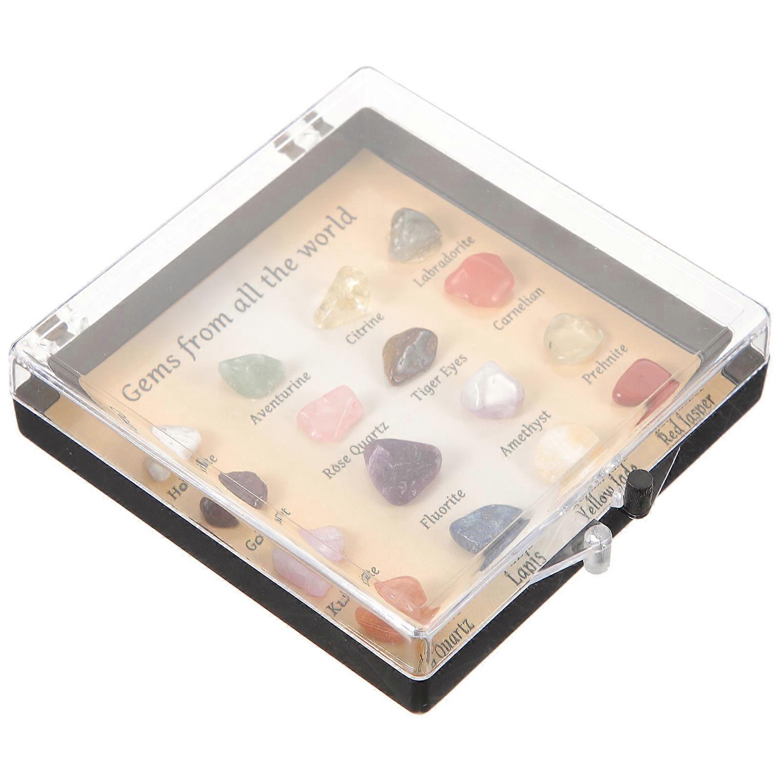 Mineral Collection Box Teaching Prop 1 Box with Crystal Stone Display