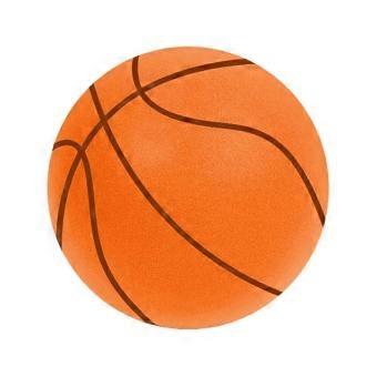 Quiet PU Kids Basketball