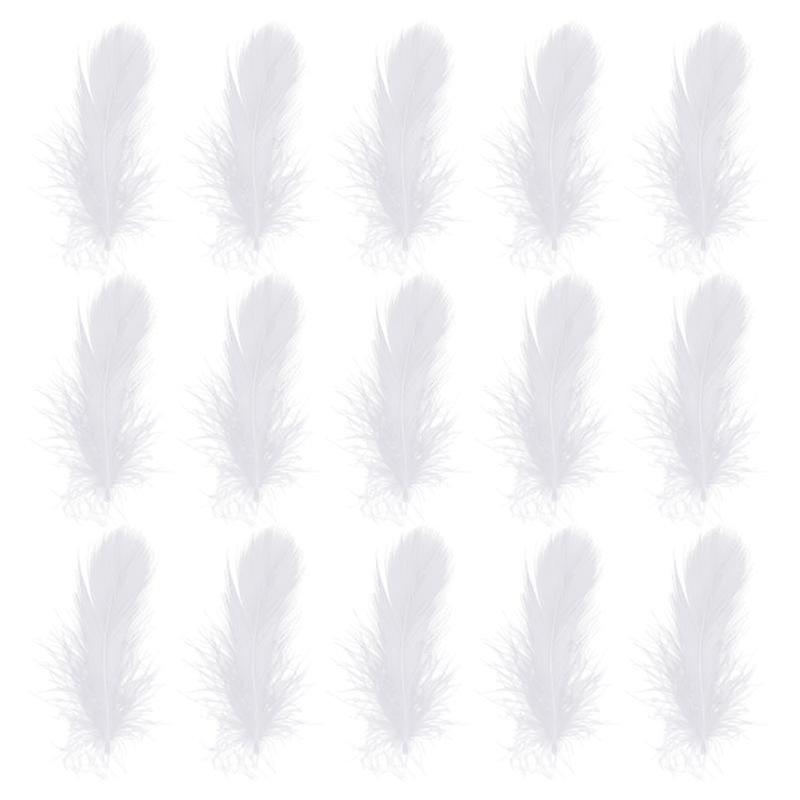 200pcs Craft Feathers