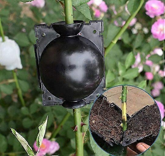 Plant root growing box 10PCS