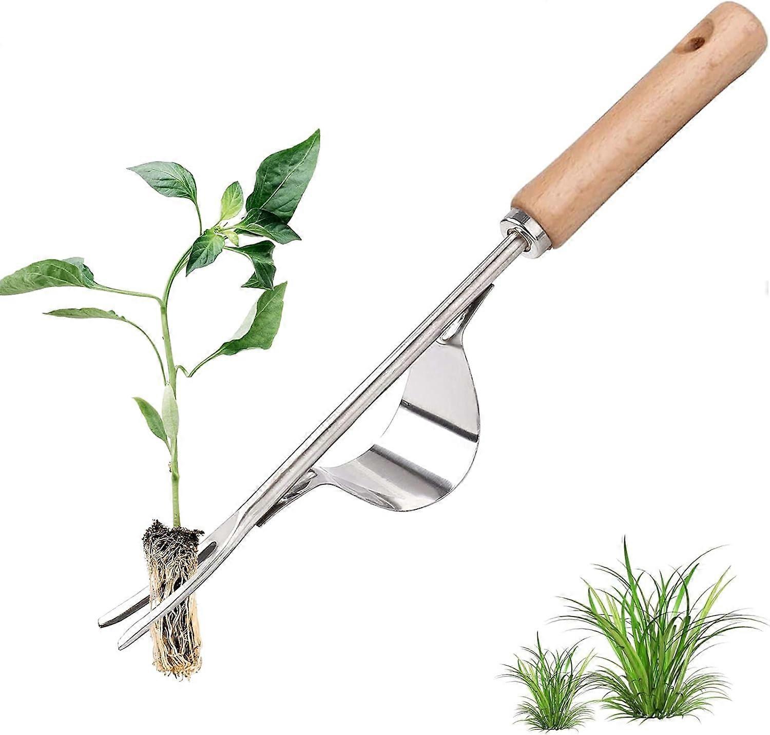 Stainless Steel Manual Weeder with Wooden Handle Tool Used for Quick Soil and Garden Weeding Y-Shape Manual Weeding Root Fork.
