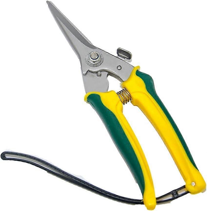 Tesouras de pé em aço carbono para cabras e ovelhas, com 8 polegadas de comprimento