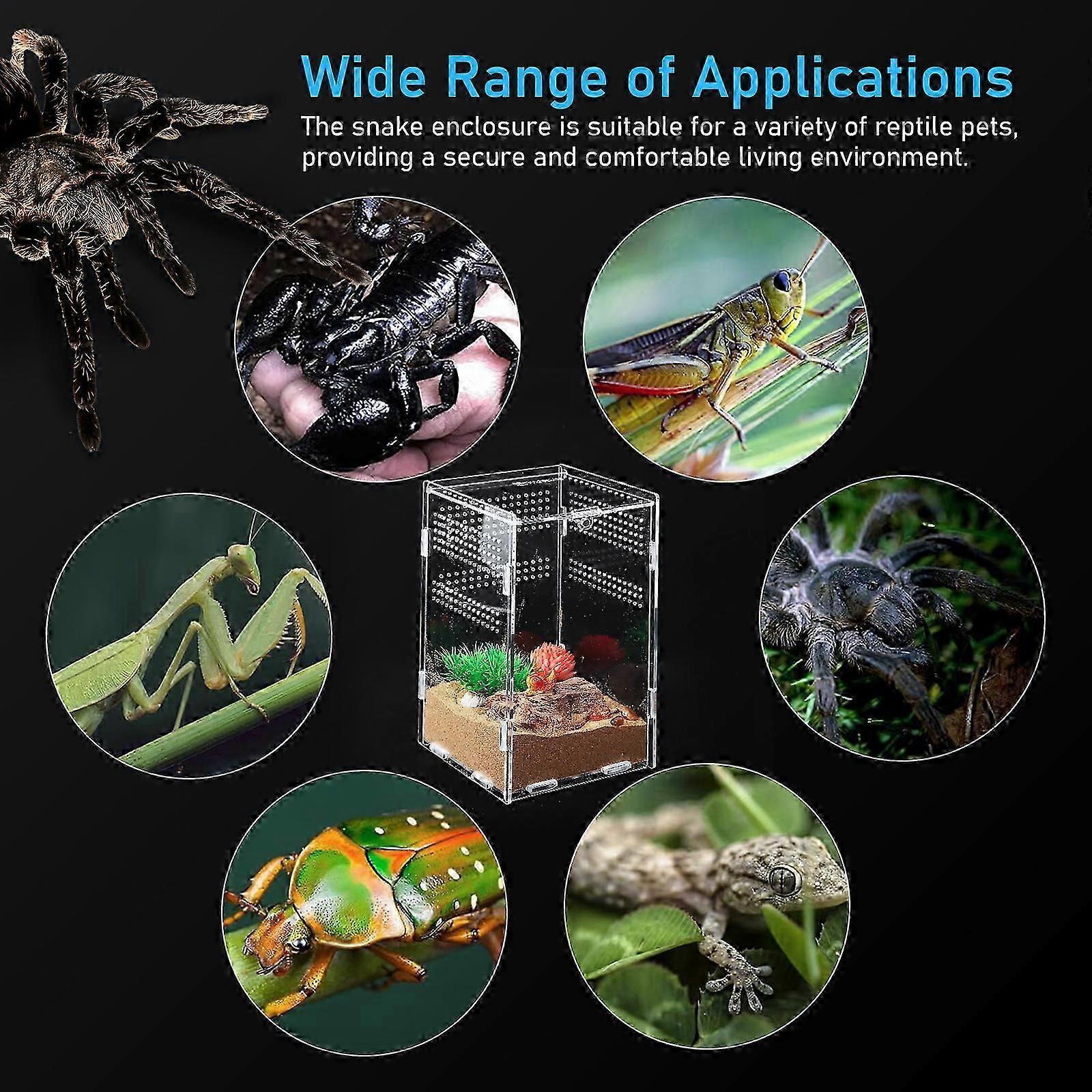 Reptile Feeding Box Tarantula Enclosure Stick Insect Enclosure Jumping ...