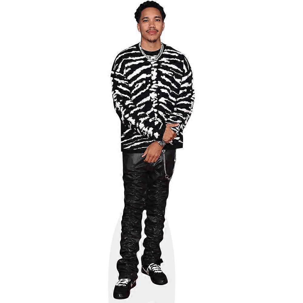 Craig Mitch (BW) Cardboard Cutout (lifesize OR mini size). Standee. Stand Up.