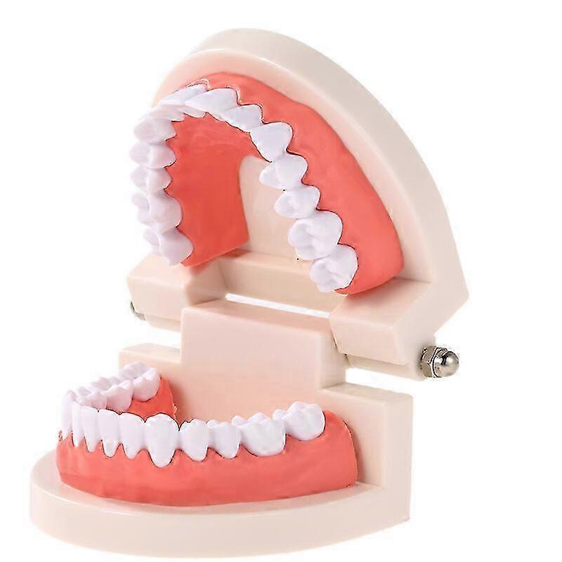 歯科の子供の歯の教育モデル標準的な大人の歯の歯茎のデモンストレーションツール子供のためのハイウェイを研究しています