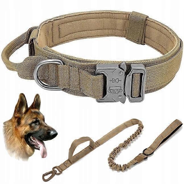 Dog Collar Metal Set Collar With Leash Super Zwierzaki R. Xl