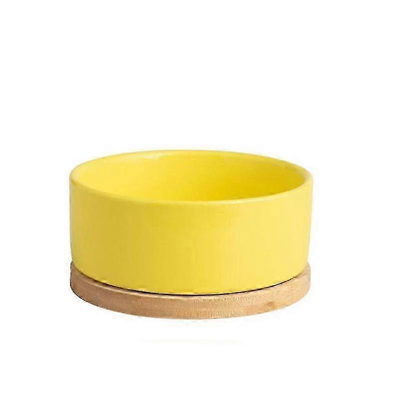 Przenośna miska na wodę termalną dla kotów z zasilaniem USB