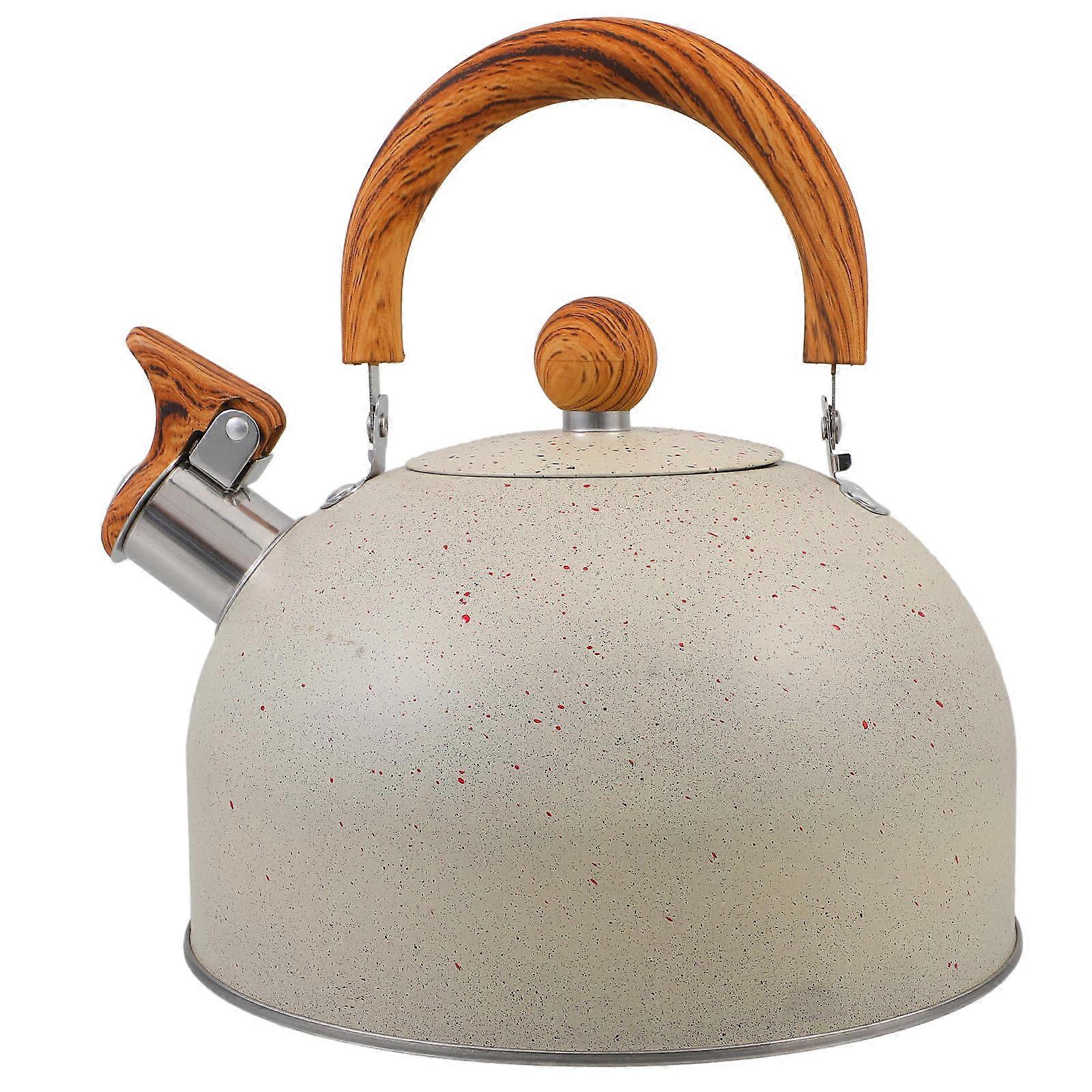 Whistling Tea Kettle with Anti-Scalding Handle for Home Use