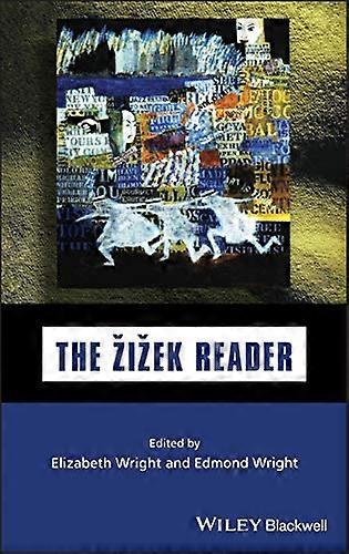 Den Zizek Reader