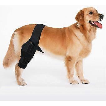 PING-Dog Brace Back Leg Support Braces for CCL, Arthritis - Compression Sleeve Knee Wrap Ideal for Dogs with Arthritis in Joints, Strains