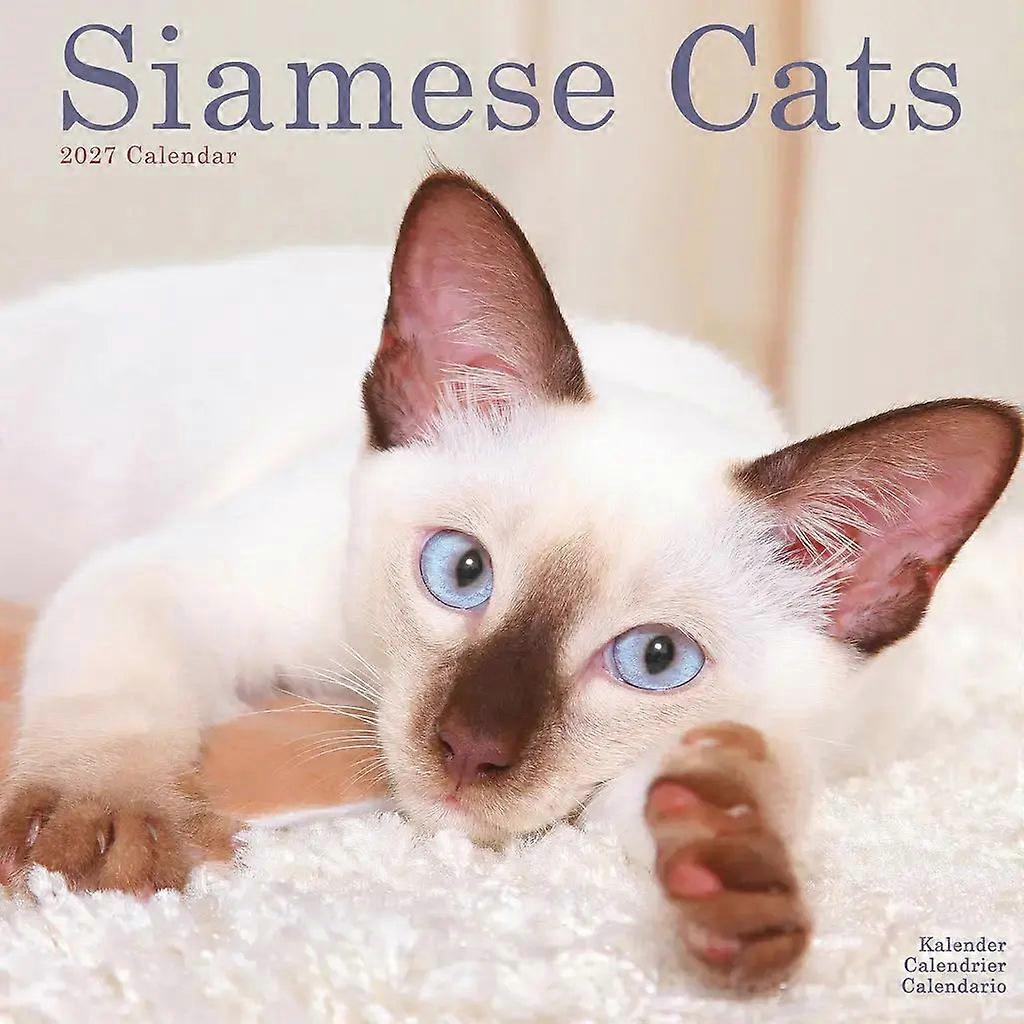 Red Robin Red Robin Siamese Calendar 2026