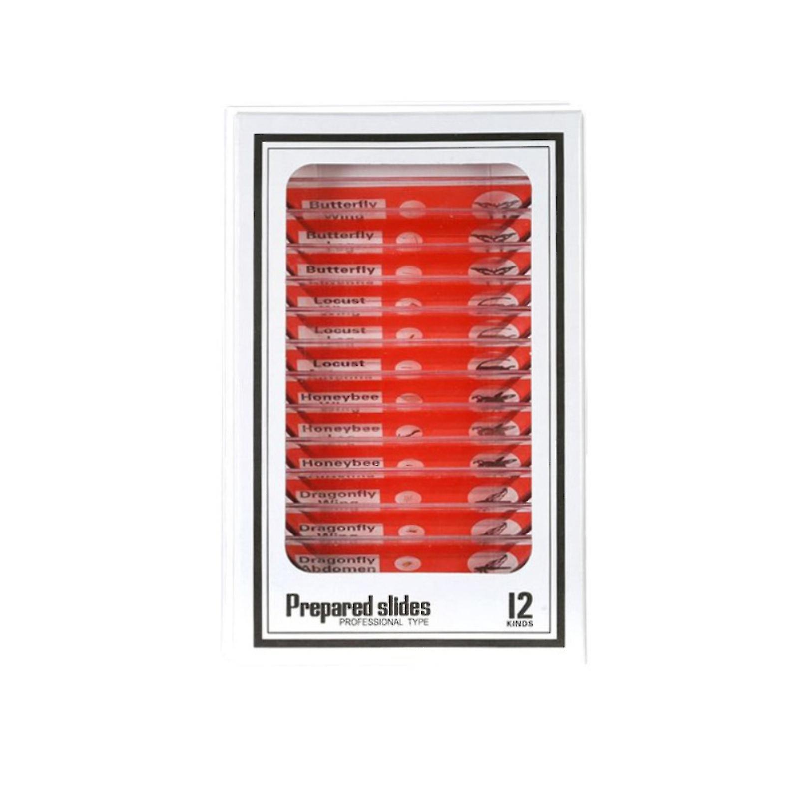 Handheld Pocket Microscope Lab Microscope With Led Light Battery Power Science Microscope For Kids