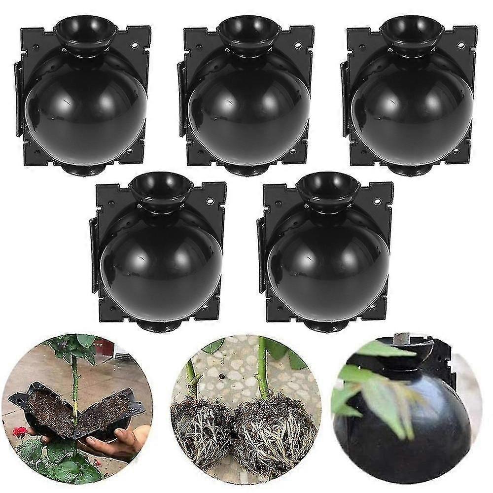 10pcs Plant Rooting Ball Grafting Rooting Box Breeding Case Plant Root Growing Box Garden Tool Plant Rooting Ball Root Grafting Box