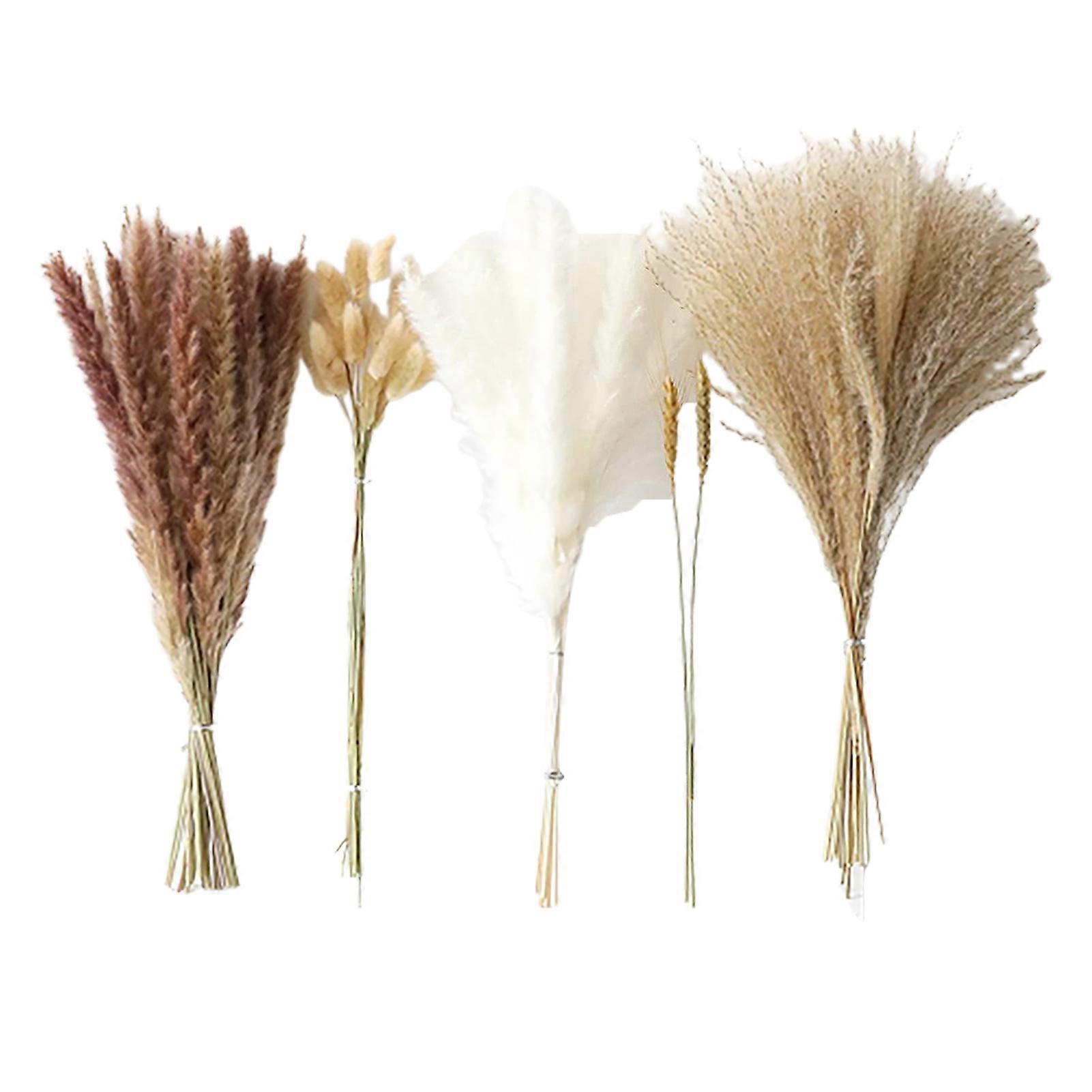 1 Bunch Dry Reed Grass No Watering Non-Withered Easy Care Natural Dried Plant Bouquet DIY Wedding Boho Flower Home Decor KAESI