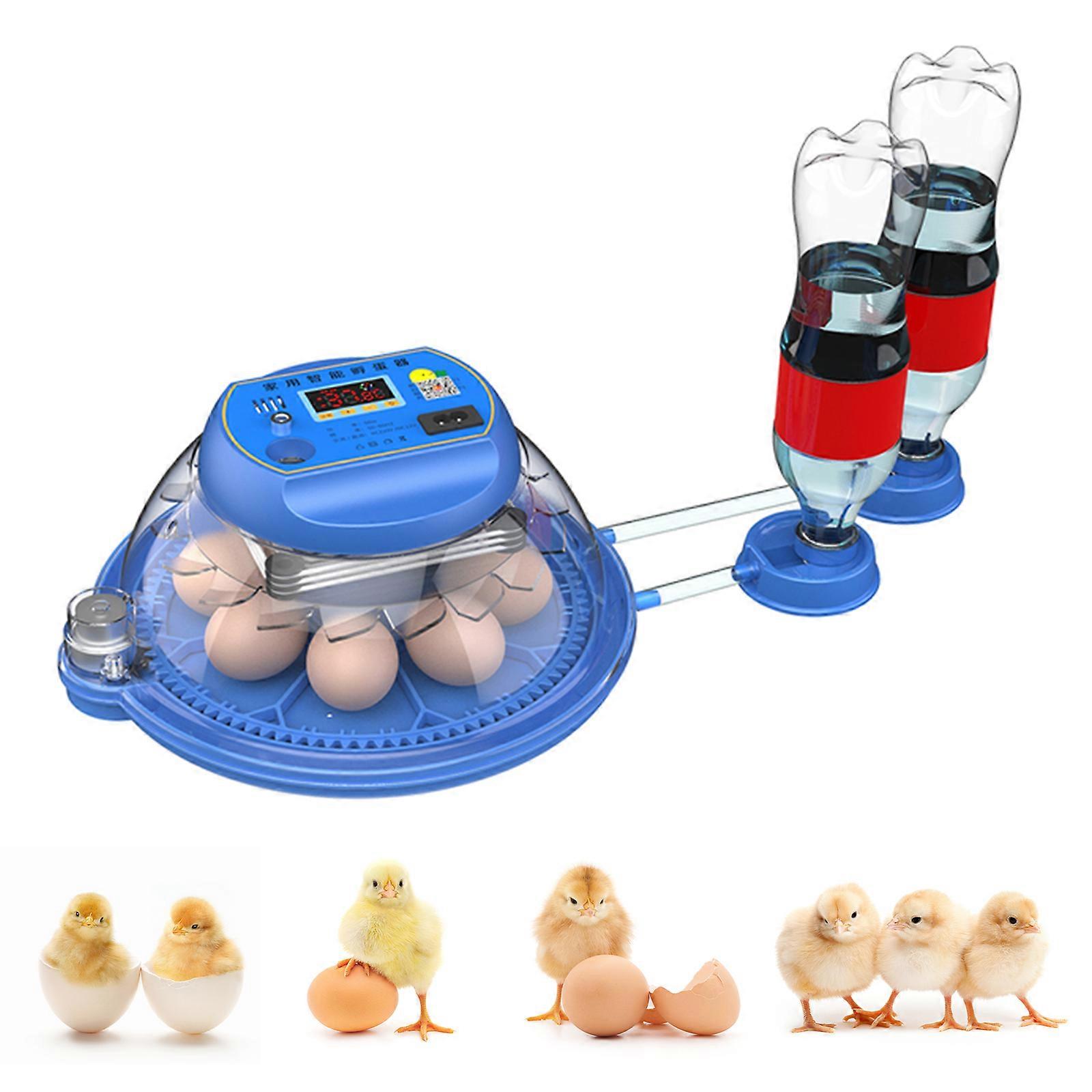 Egginkubator for klekking av egg, doble eggbrett inkubator med automatisk eggvending og vanntilsetning