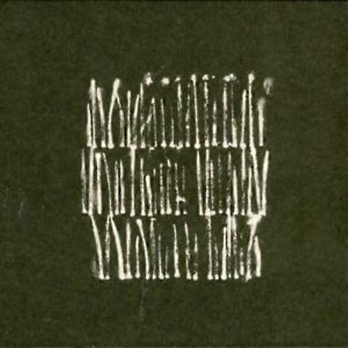 バベル曲がった木材CD(2009)