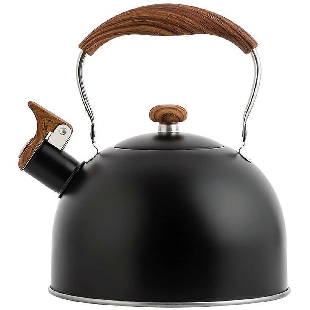 Kettle 2.5 L Stainless Steel Tea Kettle with Folding Handle Whistling Kettle (Black)