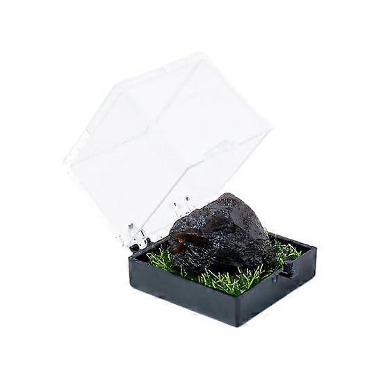 Natural Deep Red Crystal Raw Stone Set of 2, Mining Labels, Educational Gift for Children, Science Learning Ornament