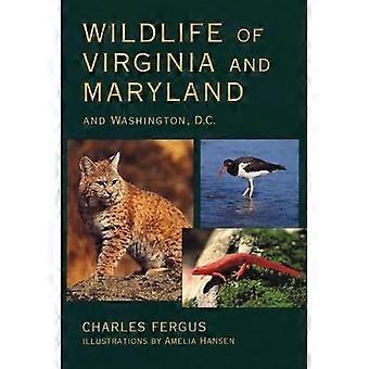 Dieren in het wild van Virginia en Maryland en Washington DC
