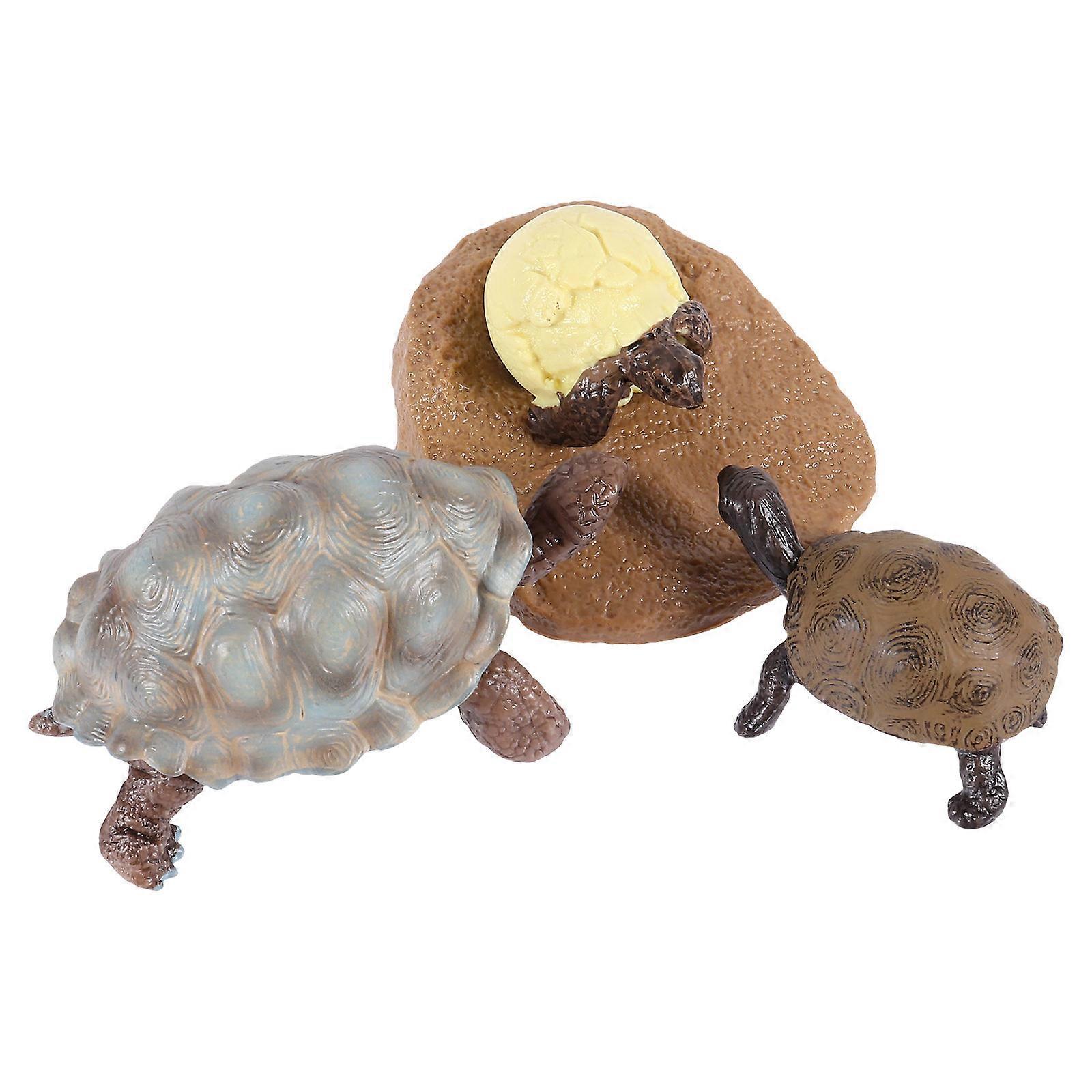 Tortoise Growth Cycle Figurines Educational Animal Models for Cognitive Nature Exploration Set