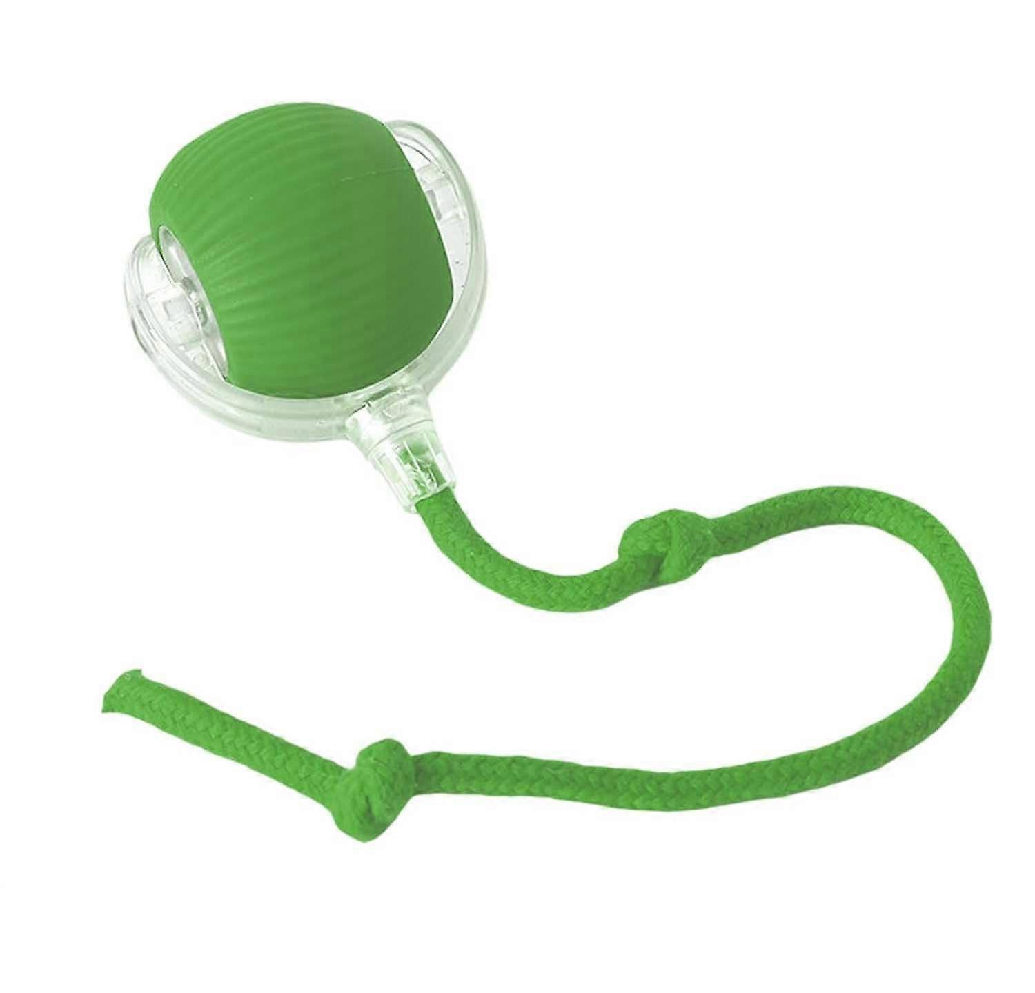 Interactive Rolling Ball Dog Toy For Dogs And Cats Self Rolling Ball Size Large Plastic