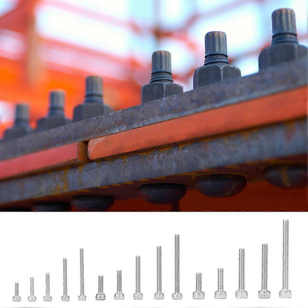 300pcs M2 M2.5 M3 SS304 Hex Socket Cap Screw Bolt Set