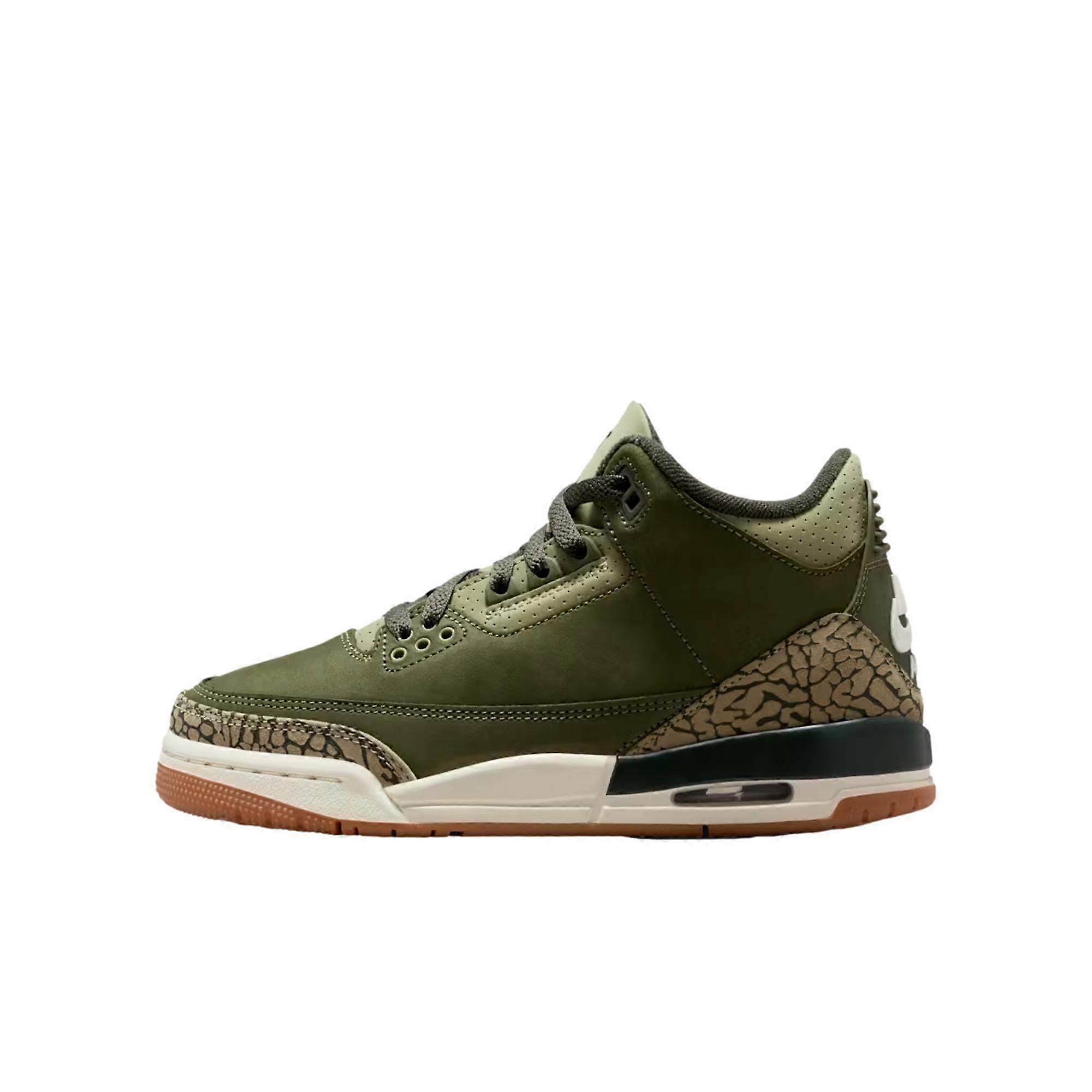 Nike Air Jordan 3 Retro Medium Olive / Sequoia DM0967-202 Grade-School