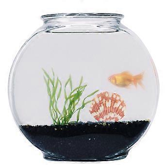 Shell Ornament Natural Conch Ornament for Fish Tank Decoration 1 Bag