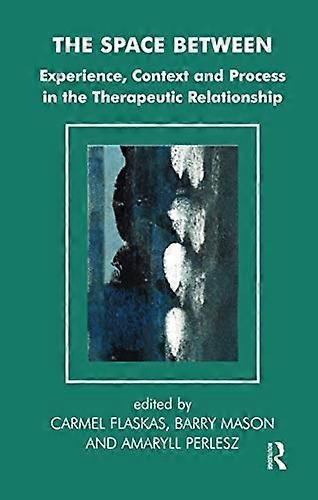 The Space Between: Experience, Context and the Process in the Therapeutic Relationship (Systemic Thinking & Practice)