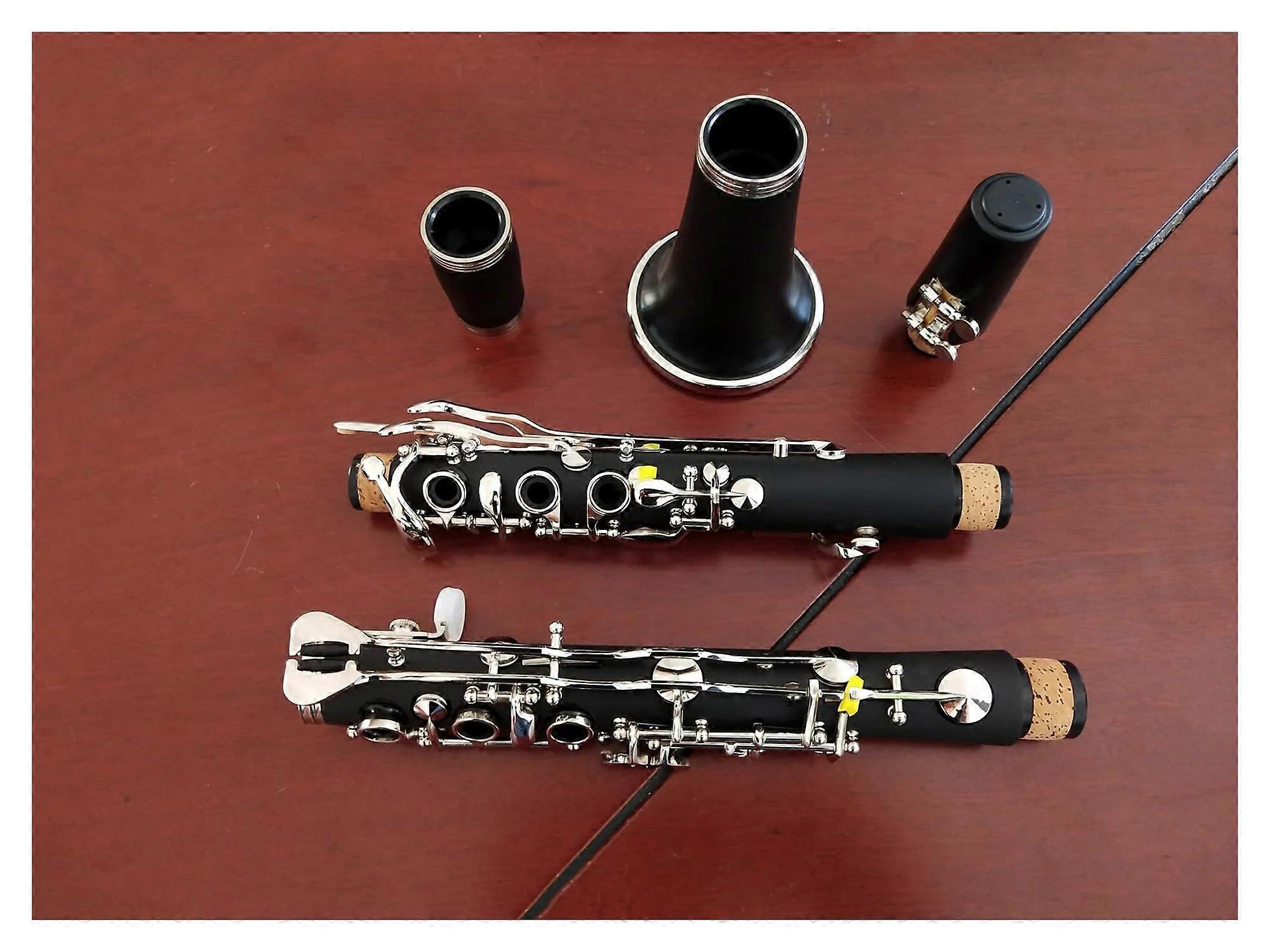 Bb Clarinet 19 Keys Ebonite for Beginner Students with Warm Focused Tone and Full Range
