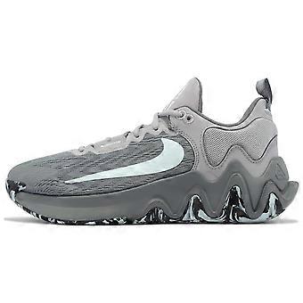 Nike Giannis Immortality 2 EP 'Cool Grey Glacier Blue' DM0826-004